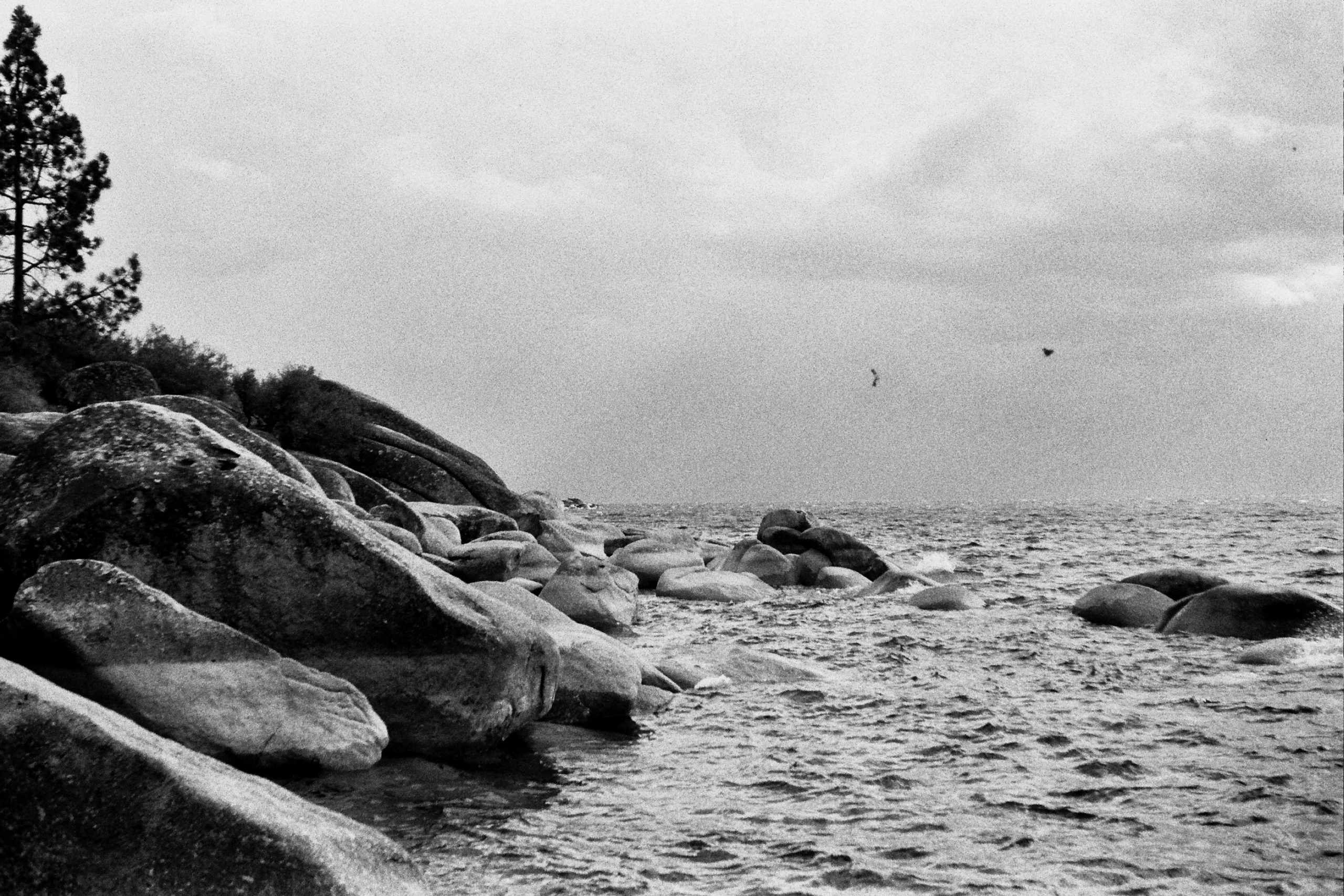 Black and white film photo of a rocky shoreline with large boulders, a few trees on the left, and waves on a body of water under a cloudy sky. Two birds are flying in the distance, capturing the timeless feel of film photography. | Photo by Millworks Film Photography & Prints