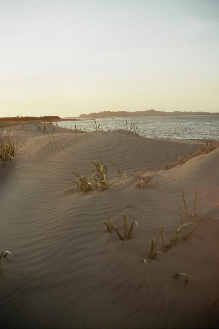 Golden sunlight shines on rippled sand dunes with sparse grass, overlooking a calm body of water and distant shoreline under a clear sky—a timeless scene reminiscent of classic film photography. | Photo by Millworks Film Photography & Prints