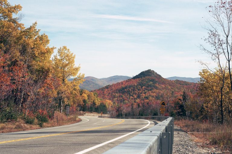 A winding road curves through a forest ablaze with autumn foliage in shades of yellow, orange, and red, with mountains in the background under a partly cloudy sky—captured in timeless detail as a stunning film photo. | Photo by Millworks Film Photography & Prints