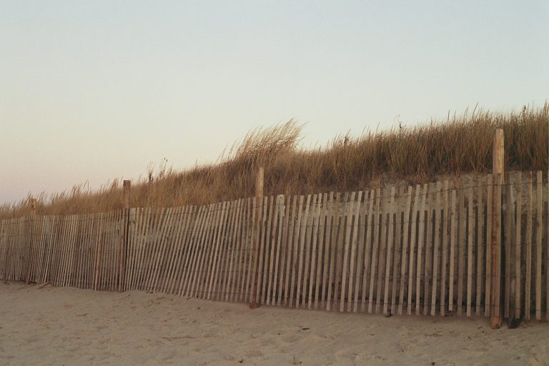 A wooden slat fence runs along a sandy beach, with tall grasses growing on a dune behind it under a pale, clear sky—a scene reminiscent of timeless film photography. | Photo by Millworks Film Photography & Prints
