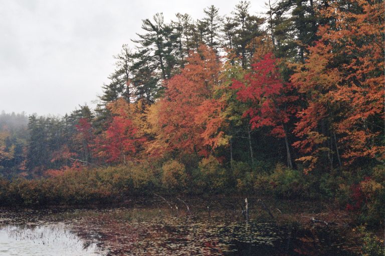 A lake bordered by a forest of trees with vibrant autumn foliage in shades of red, orange, and yellow on a cloudy day, beautifully captured in film photography. | Photo by Millworks Film Photography & Prints