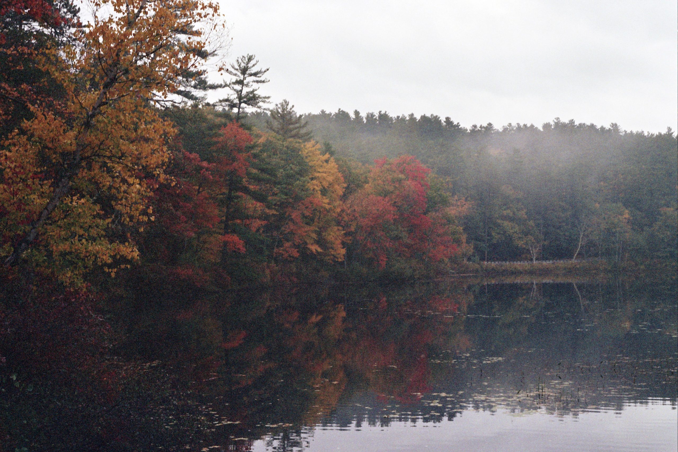 A calm lake reflects colorful autumn trees in shades of red, orange, and yellow, with a forest and light mist in the background under a cloudy sky—captured in stunning detail as a professional photography film photo. | Photo by Millworks Film Photography & Prints
