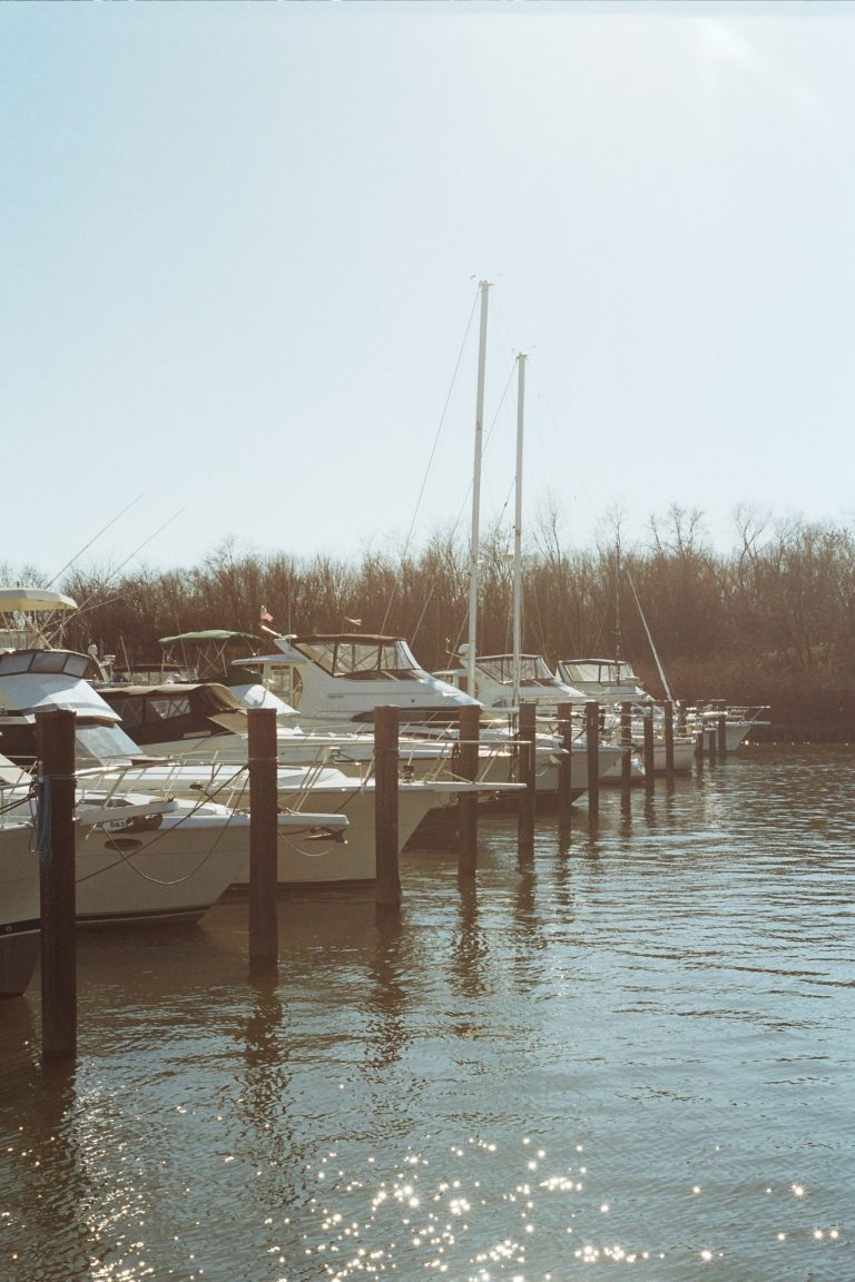 A row of docked boats and yachts in a marina, with calm water reflecting sunlight and leafless trees in the background under a clear sky, captured in stunning detail through professional photography. | Photo by Millworks Film Photography & Prints