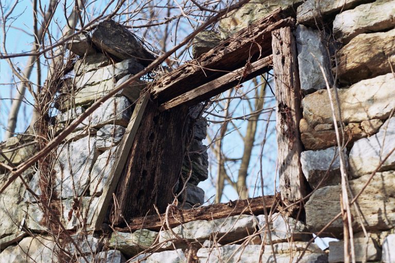 A weathered stone wall with an empty wooden window frame, surrounded by leafless branches and set against a blue sky, evokes the nostalgic charm of film photography. The structure appears abandoned and partially collapsed. | Photo by Millworks Film Photography & Prints