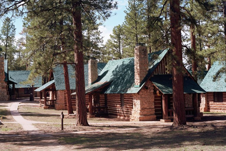 Several rustic log cabins with stone chimneys and green roofs are nestled among tall pine trees in a forested area, their charm beautifully captured in a film photo as a dirt path winds between them. | Photo by Millworks Film Photography & Prints