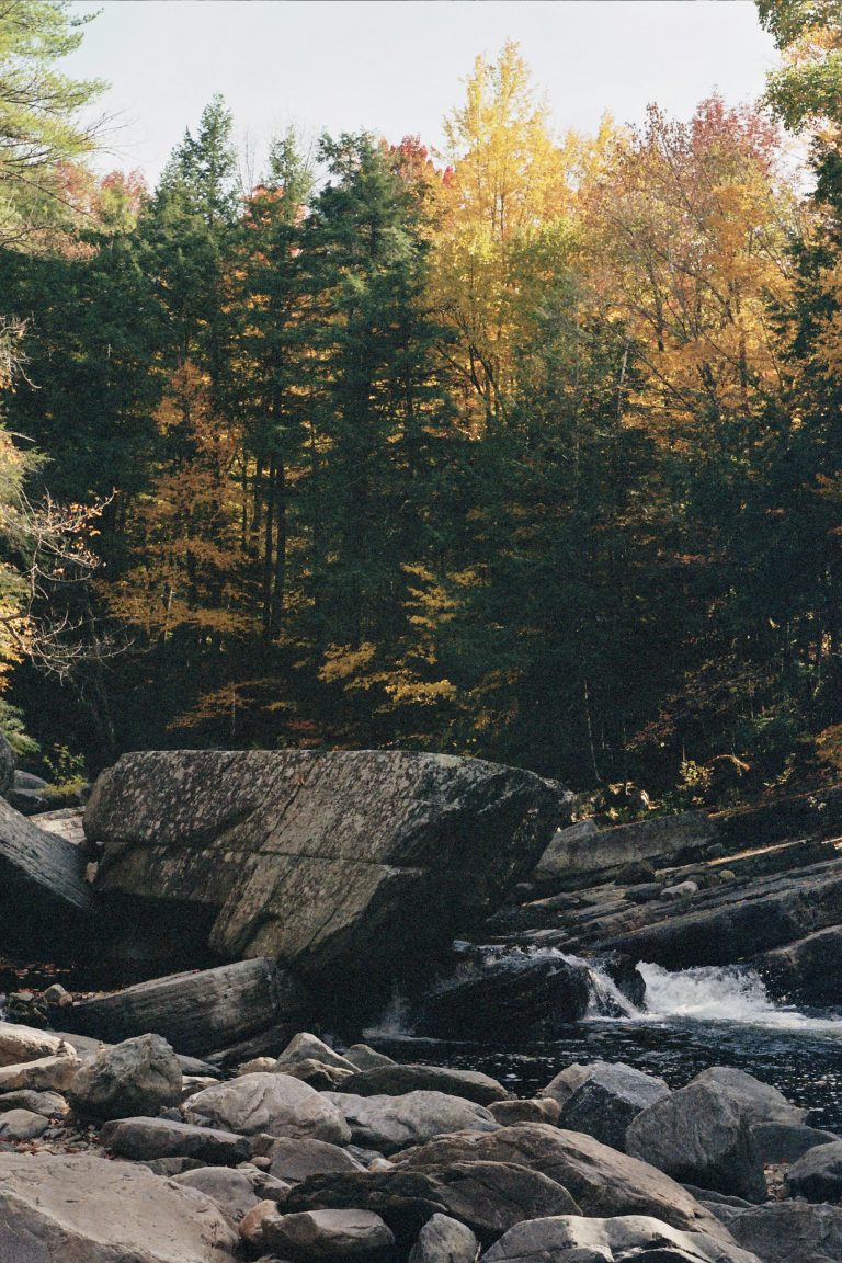 A rocky riverbank with large boulders and gentle flowing water lies before a dense forest in autumn hues. Sunlight filters through the foliage, evoking the timeless charm of film photography. | Photo by Millworks Film Photography & Prints