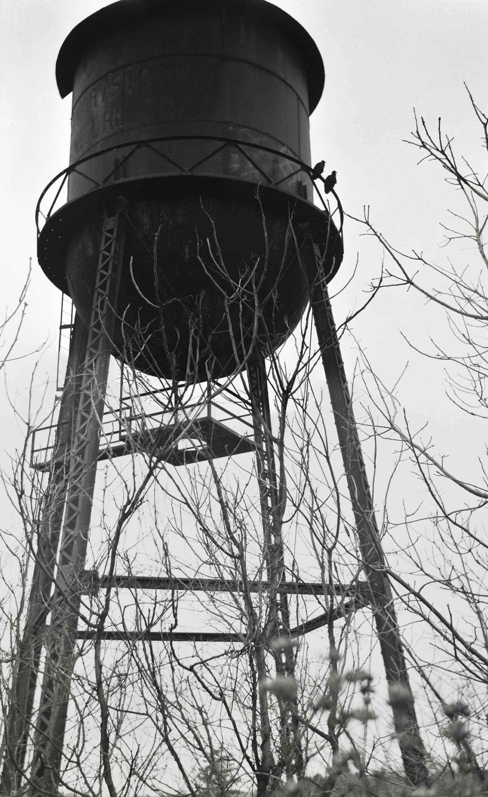 A black and white film photo captures a tall, metal water tower partially obscured by leafless tree branches. The overcast sky and stark mood highlight the timeless artistry of film photography. | Photo by Millworks Film Photography & Prints