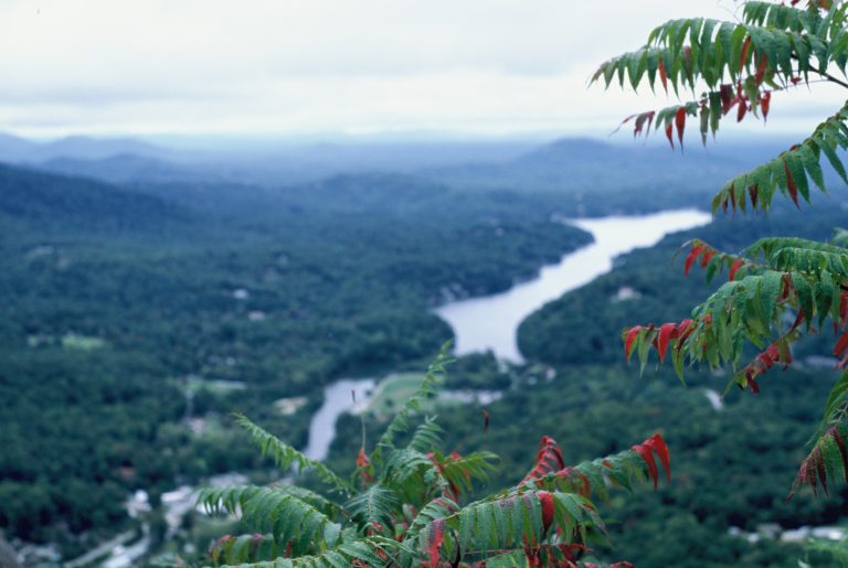 A scenic view of a winding river flowing through a lush green forest, with mountains in the distance and leafy branches with red-tipped leaves in the foreground under a cloudy sky, captured in timeless film photography. | Photo by Millworks Film Photography & Prints