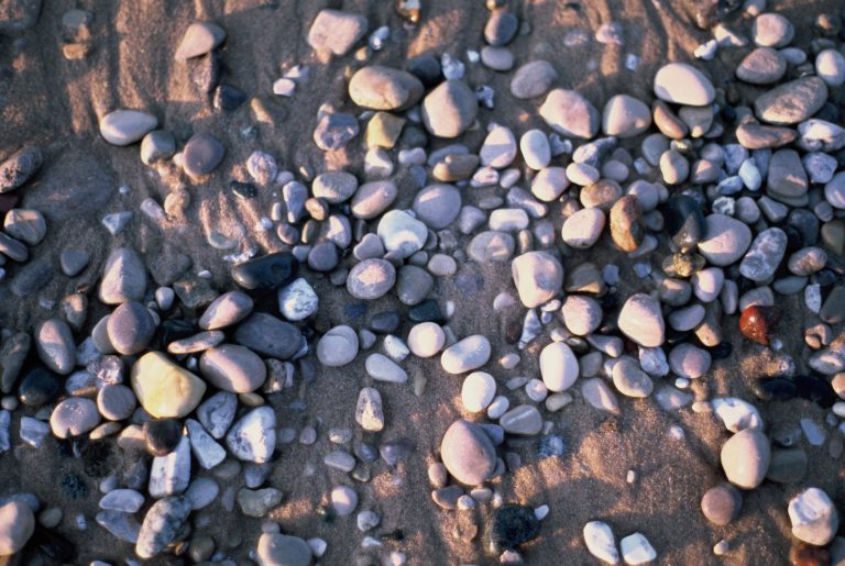 A close-up view of assorted smooth pebbles and stones scattered on sandy ground, with natural light creating soft shadows and highlights across the surface, evokes the timeless quality often found in film photography. | Photo by Millworks Film Photography & Prints