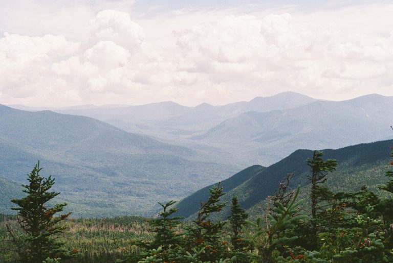 A scenic view of rolling green mountains covered in trees, captured as a stunning film photo with forested slopes in the foreground and cloud-filled skies above. | Photo by Millworks Film Photography & Prints