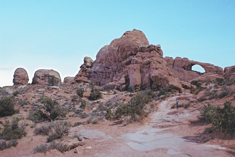 Red rock formations and natural arches rise under a clear blue sky in a desert landscape, captured through the timeless aesthetic of film photography, with sparse shrubs lining a dirt path in the foreground. | Photo by Millworks Film Photography & Prints