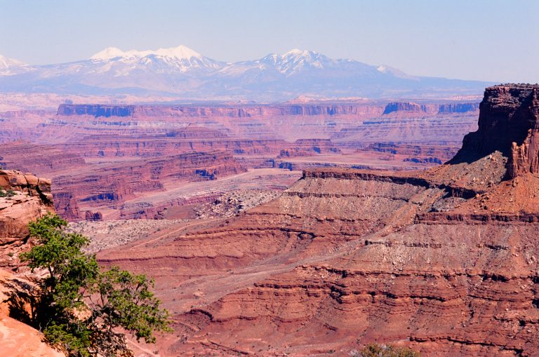 A vast red rock canyon landscape with layered cliffs and mesas under a clear sky; distant snow-capped mountains rise in the background, and green shrubs appear in the foreground, all captured with the timeless depth of film photography. | Photo by Millworks Film Photography & Prints