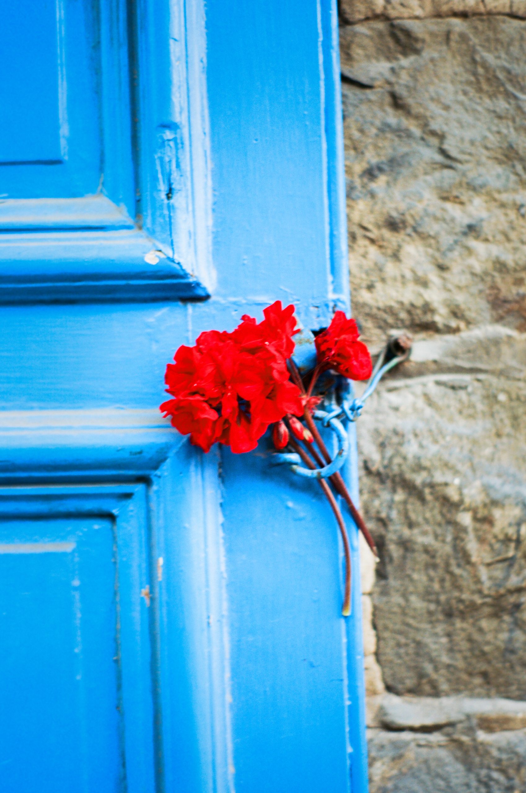 A small bunch of red flowers is tied to the handle of a bright blue wooden door, with a stone wall visible in the background—captured as a stunning film photo that highlights the charm of professional photography. | Photo by Millworks Film Photography & Prints