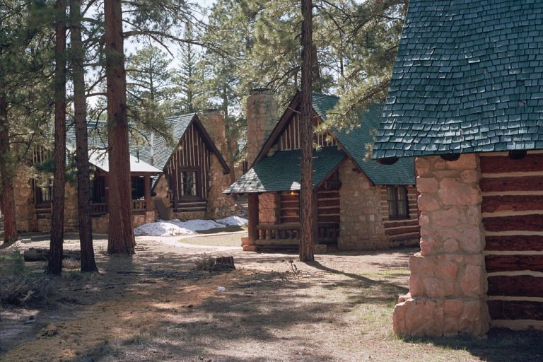Cabins with stone and wood exteriors are nestled among tall pine trees in a forest setting. Captured in stunning film photography, sunlight filters through the trees, casting dappled shadows on green-shingled roofs and the forest floor. | Photo by Millworks Film Photography & Prints