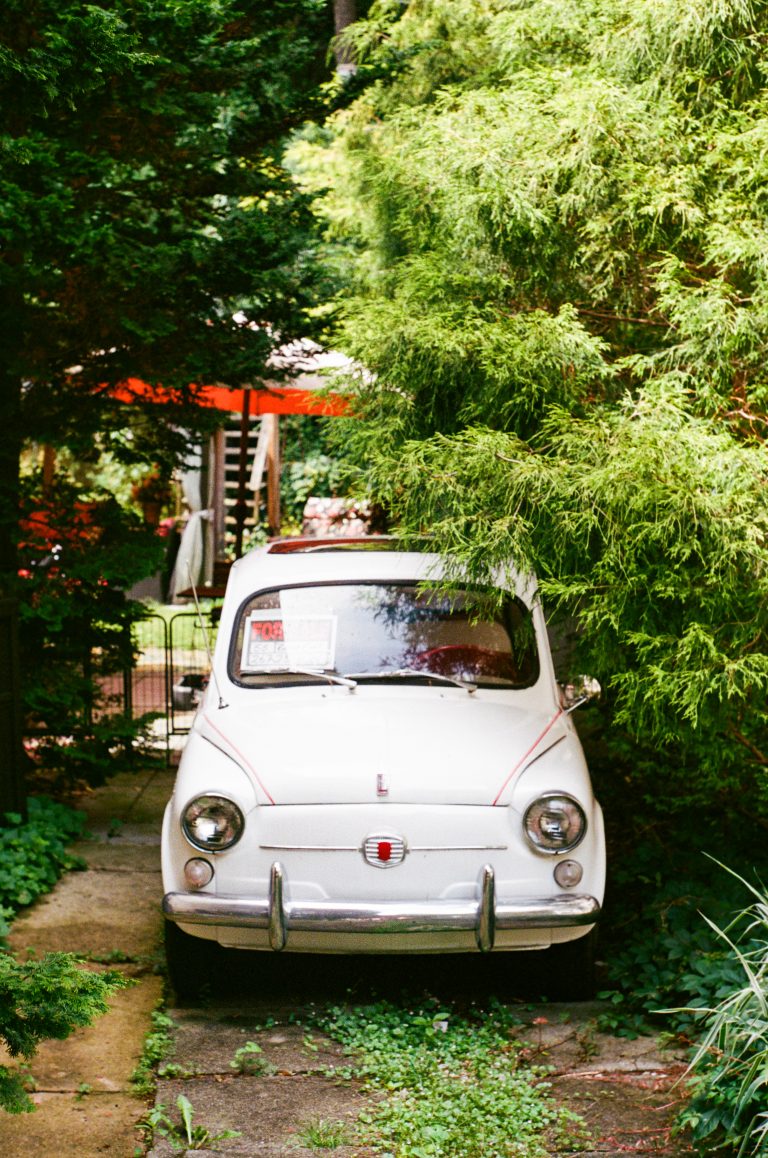 Vintage car hidden in lush greenery