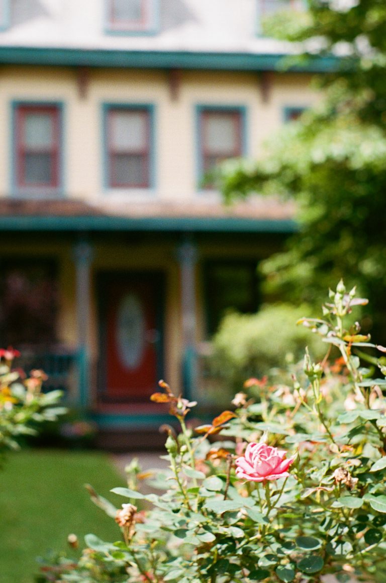 A pink rose in sharp focus in the foreground, with a blurred view of a two-story house featuring teal trim, red door, and porch in the background, surrounded by greenery. | Photo by Millworks Film Photography & Prints
