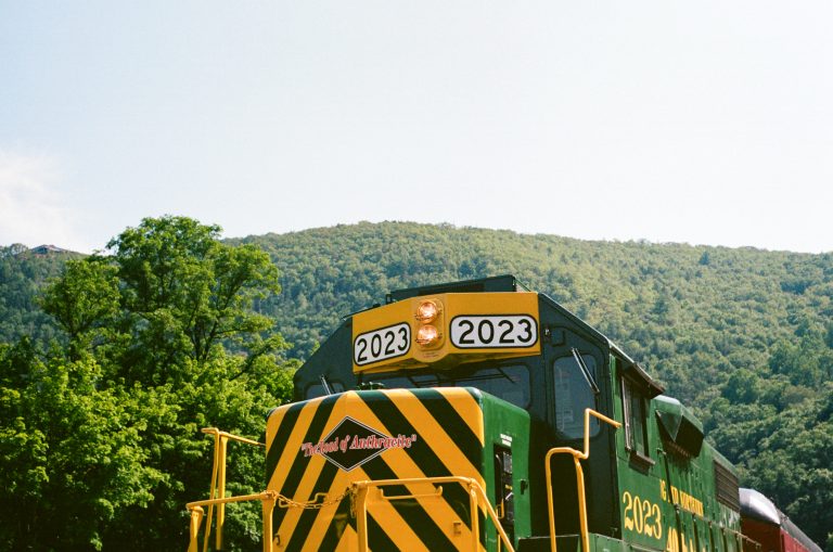 Green train with mountain backdrop