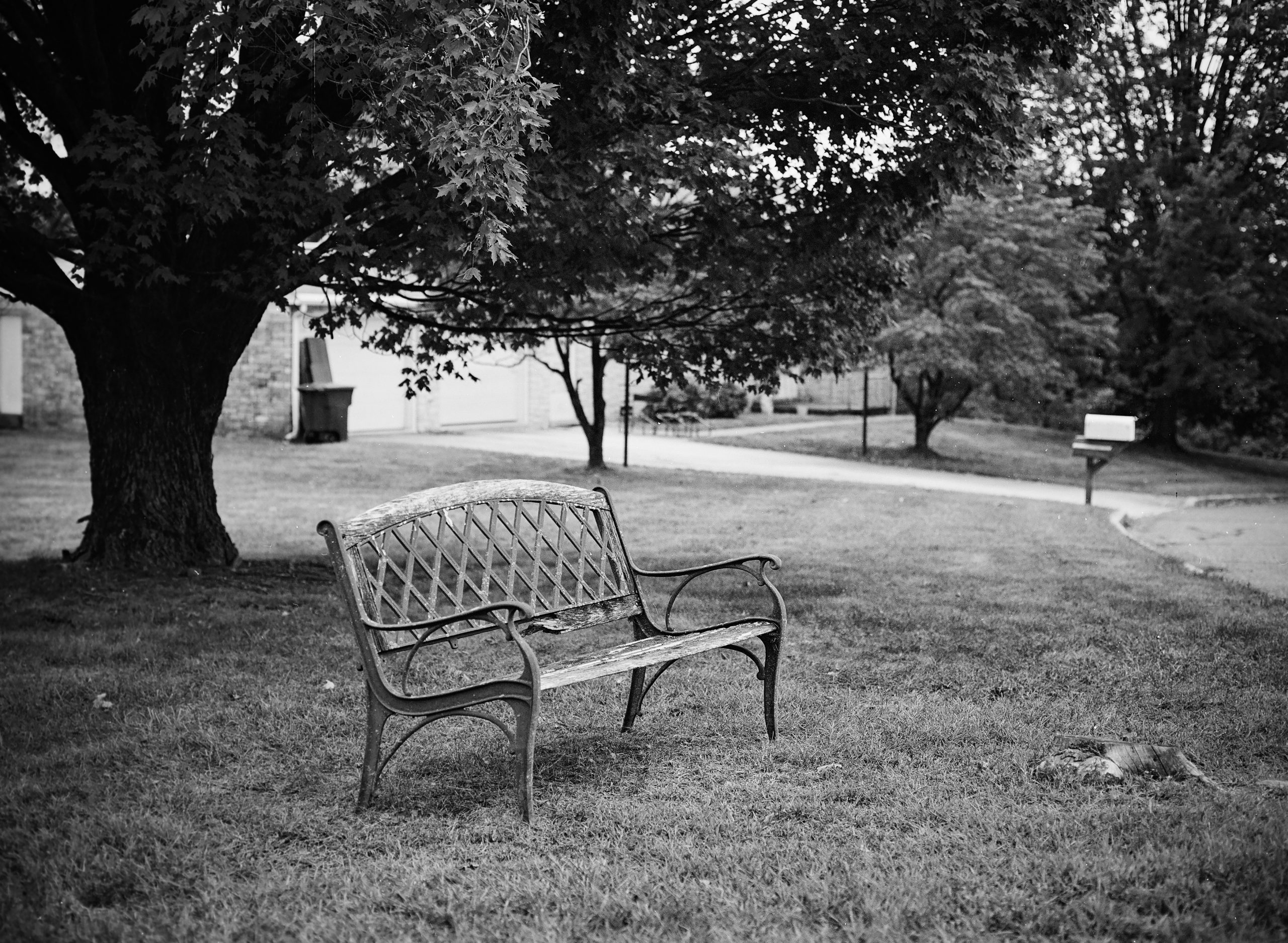 A black-and-white photo of an empty metal bench on a grassy lawn beneath a large tree, with a paved driveway, mailbox, and houses visible in the background. | Photo by Millworks Film Photography & Prints