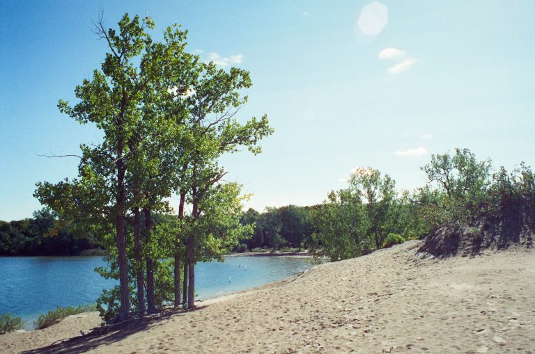 A group of green trees stands on a sandy beach beside a calm blue lake, showcasing the beauty of nature and landscapes, with more trees and greenery visible across the water under a bright, clear sky. | Photo by Millworks Film Photography & Prints