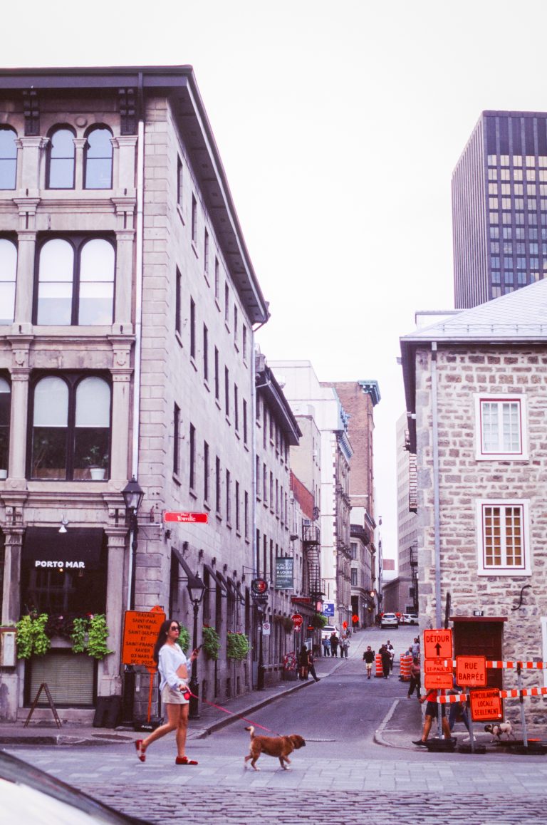 A person walking a dog crosses a cobblestone street in a city with old stone buildings, where hints of nature blend with urban landscapes. Orange construction signs and modern skyscrapers rise in the background. | Photo by Millworks Film Photography & Prints
