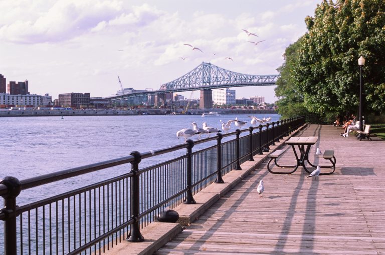 A riverside boardwalk with benches and picnic tables, seagulls perched and flying above the rail, trees on the right, and a large bridge spanning the river in the background, showcases stunning landscapes and peaceful nature under a partly cloudy sky. | Photo by Millworks Film Photography & Prints