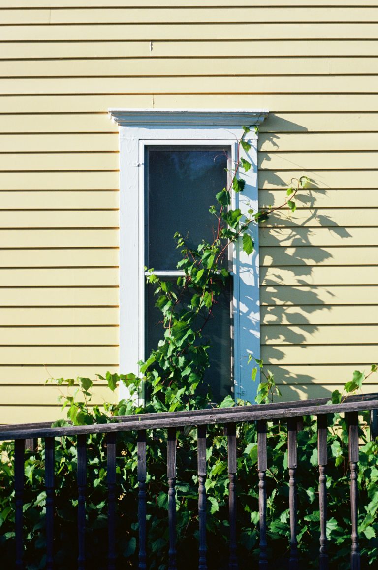A vine climbs up the side of a yellow house, partially covering a window with white trim. In front, a wooden railing runs across the bottom of the image. | Photo by Millworks Film Photography & Prints